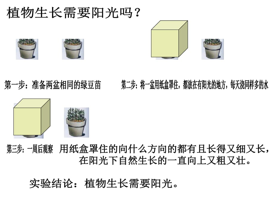 5、幼苗與陽光Microsoft PowerPoint 演示文稿_第1頁