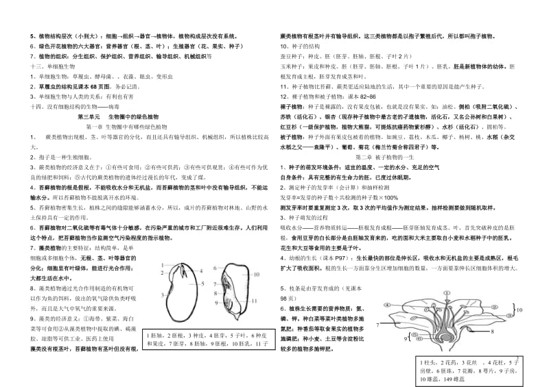 人教版七年级生物复习提纲_第3页