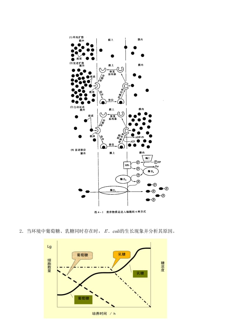 食品微生物学第1阶段练习题及答案_第2页