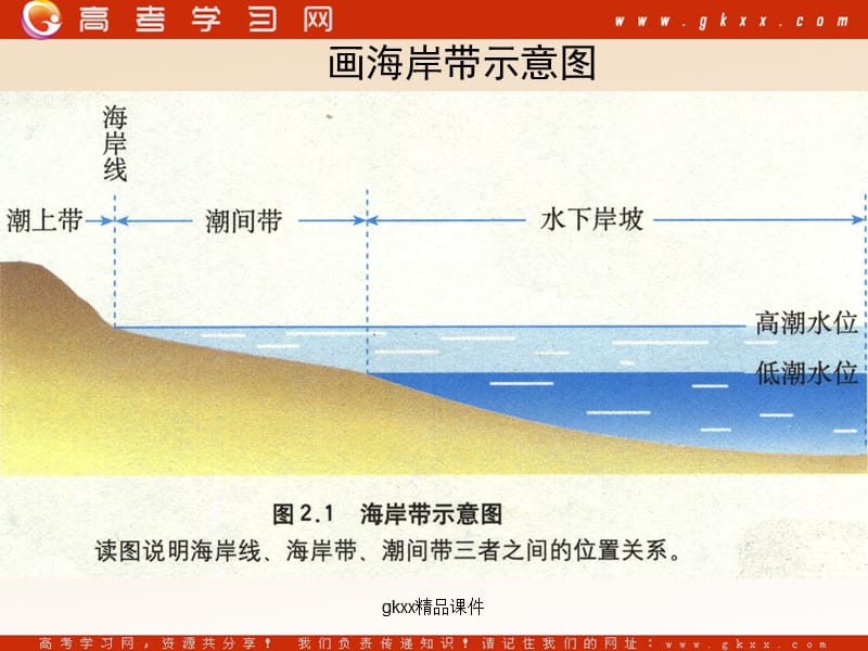 高中地理《海岸带的开发》课件1（20张PPT）（中图版选修2）_第3页