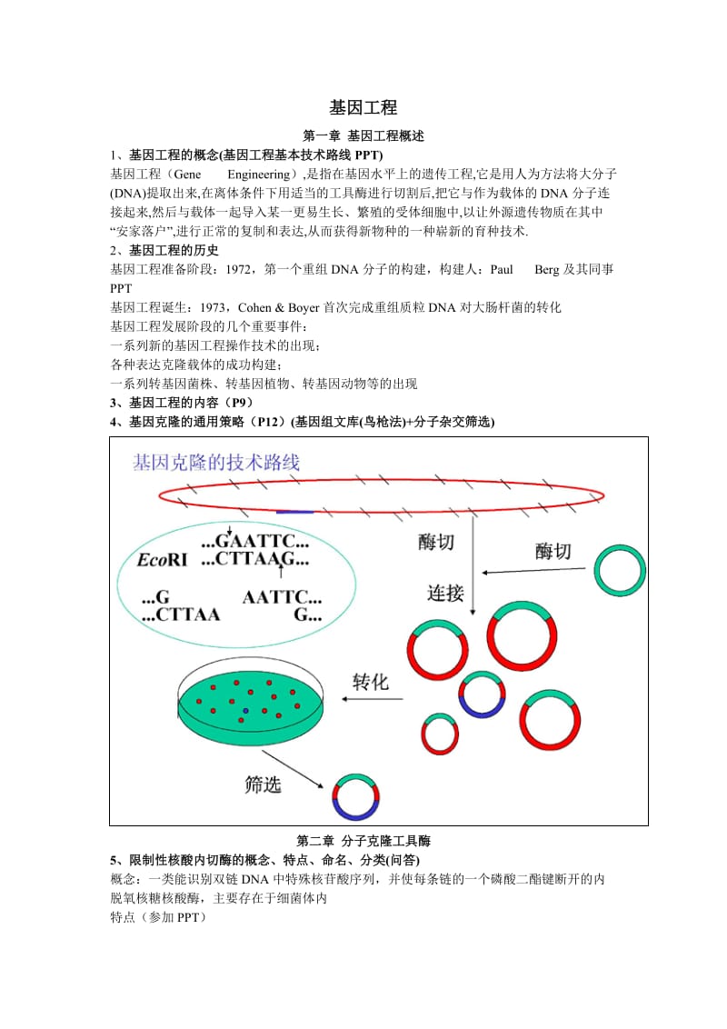 基因工程期末考试重点知识整理_第1页