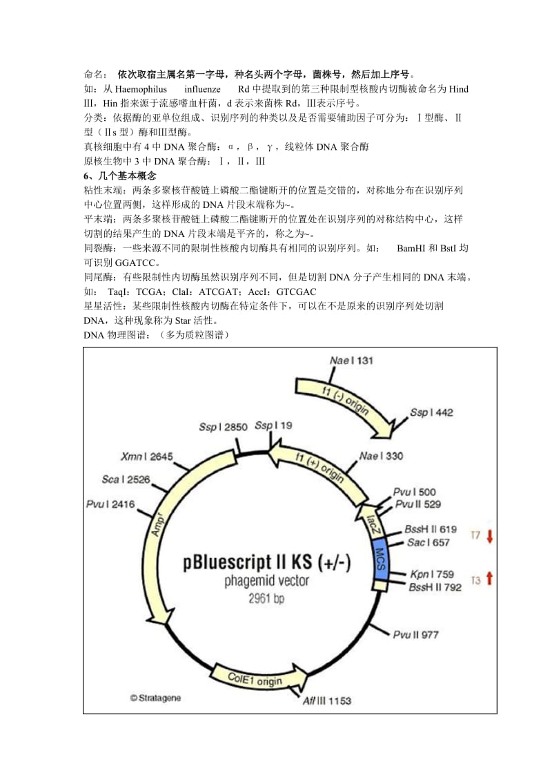 基因工程期末考试重点知识整理_第2页