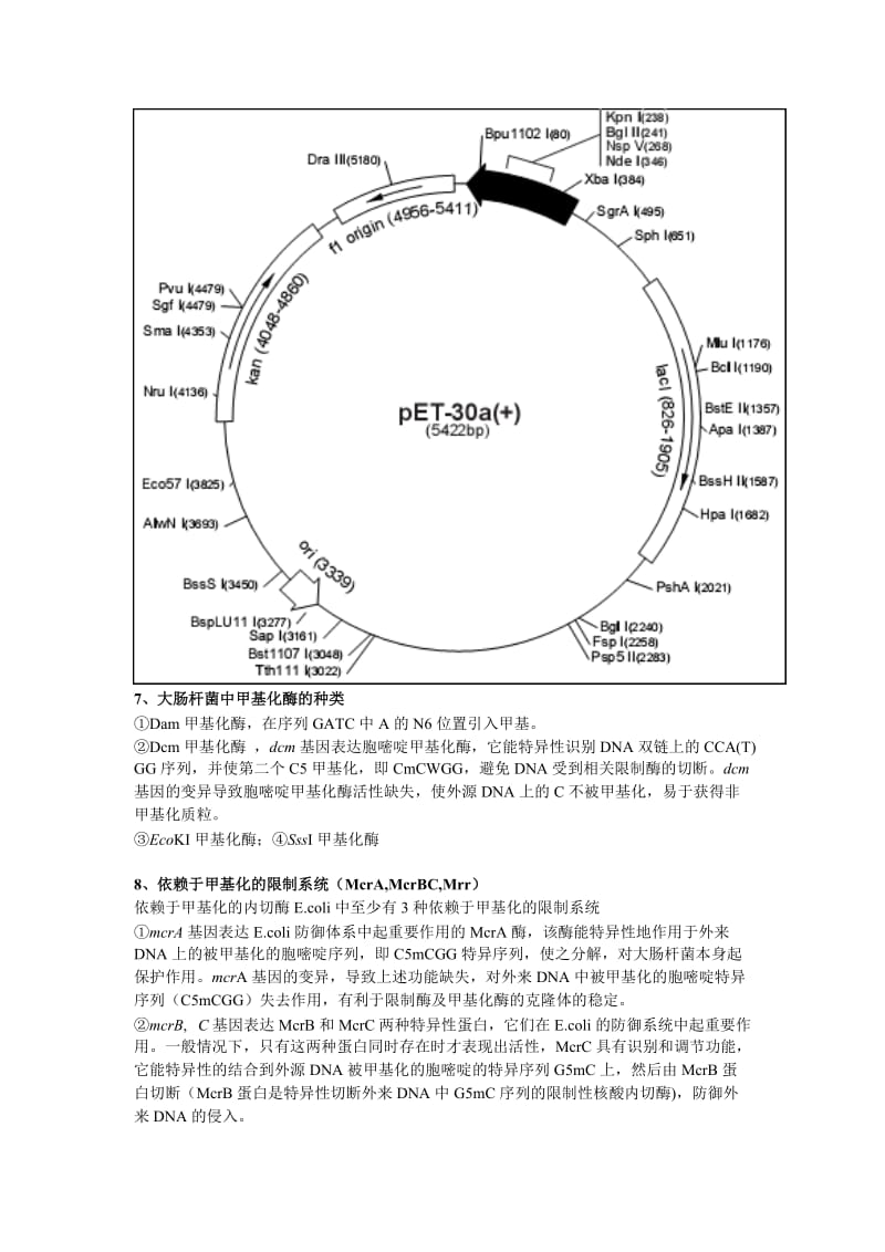 基因工程期末考试重点知识整理_第3页