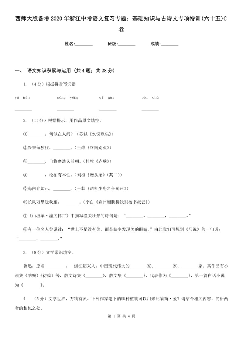 西师大版备考2020年浙江中考语文复习专题：基础知识与古诗文专项特训(六十五)C卷_第1页