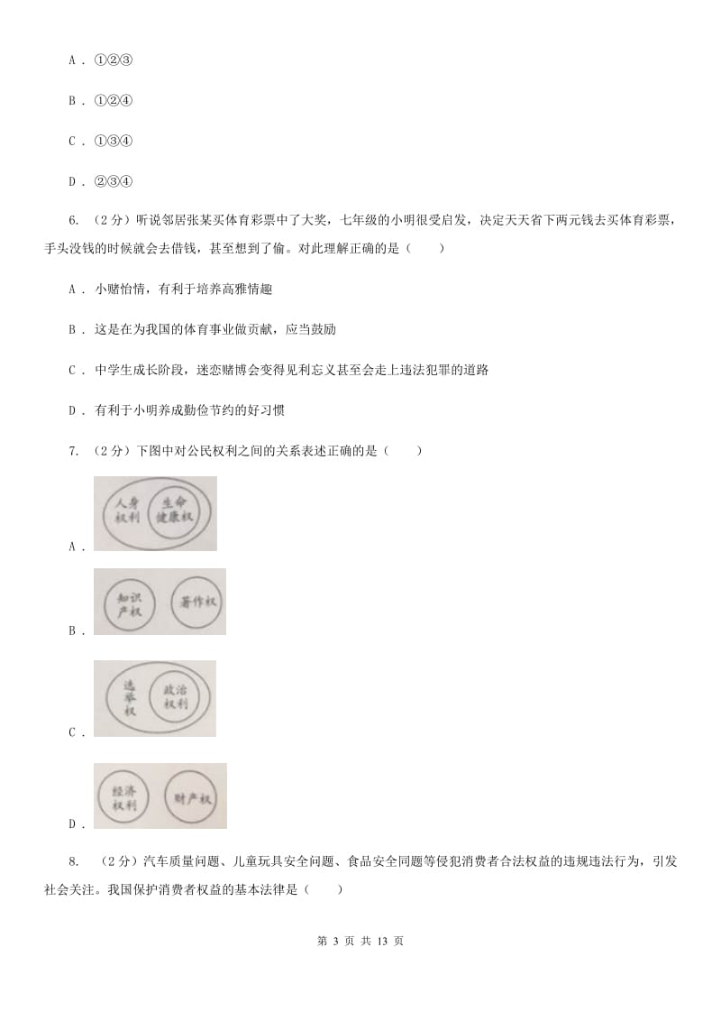 湘教版中考政治试题B卷_第3页