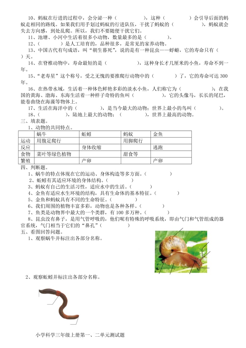 小学科学教科版三年级上册单元测试题_附答案_附图片_第3页