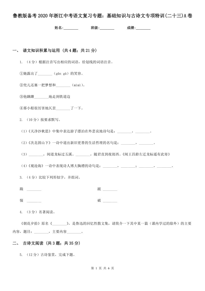 鲁教版备考2020年浙江中考语文复习专题：基础知识与古诗文专项特训(二十三)A卷_第1页