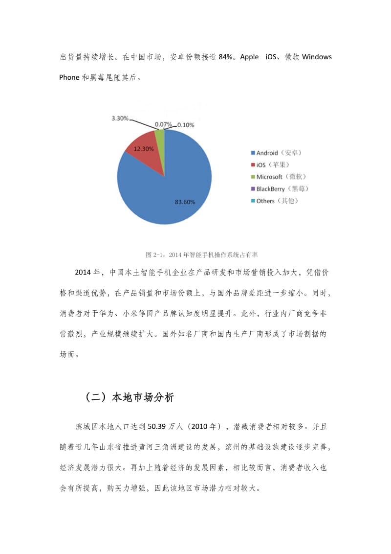 华为手机营销策划书_第3页