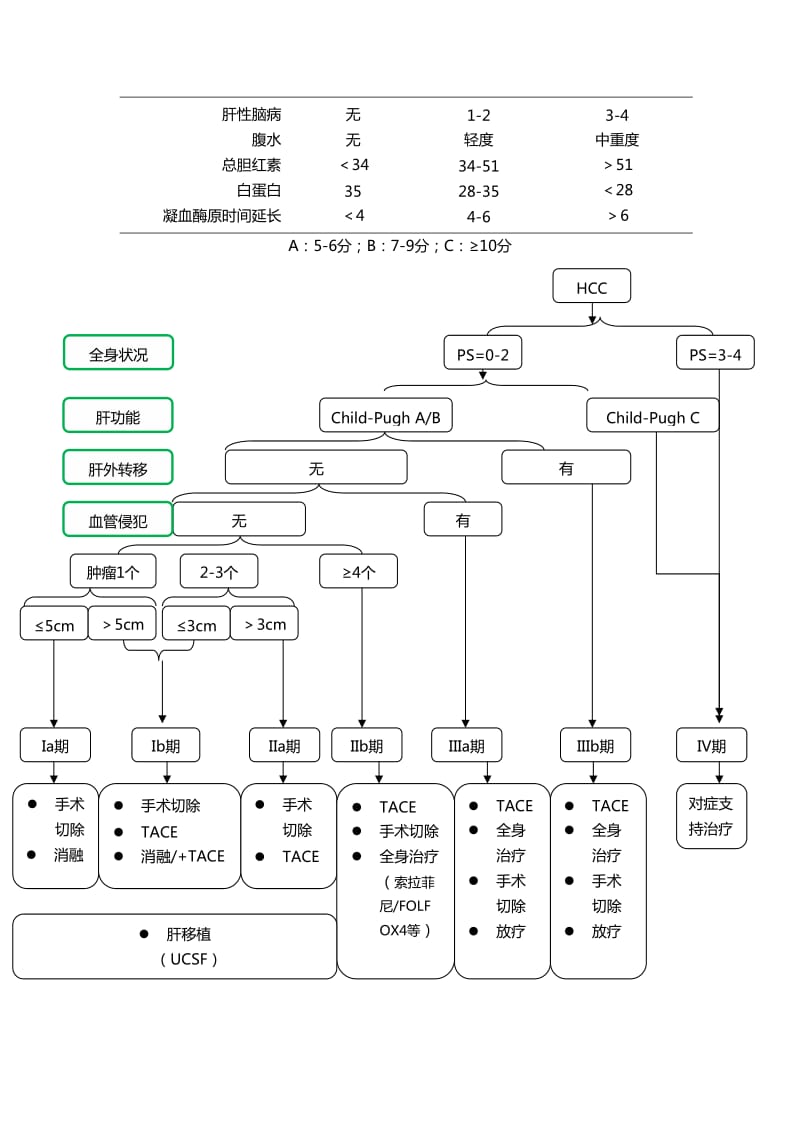 原发性肝癌诊疗规范2017_第3页