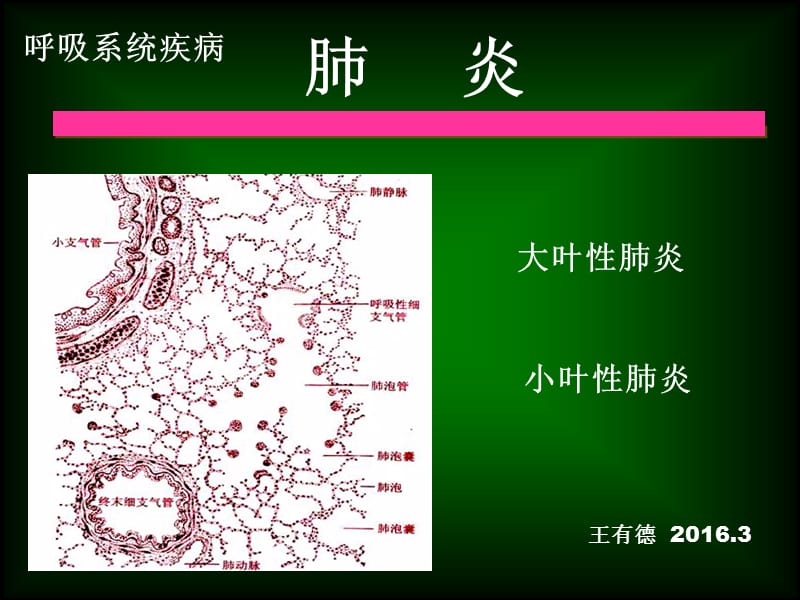 《呼吸系統(tǒng)疾病》ppt課件_第1頁