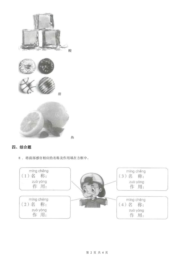 北京市科学二年级下册2.通过感官来发现_第2页