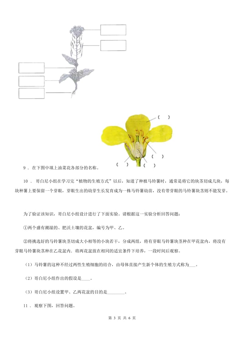 北京市科学2019-2020学年度三年级上册第一单元质量检测试题B卷_第3页