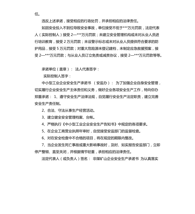 安监局局长承诺书 .docx_第2页