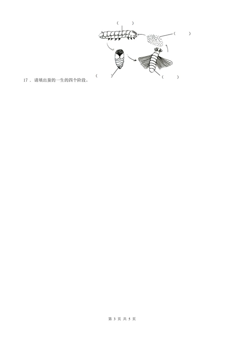 北京市科学2019-2020学年度三年级下册2.1 迎接蚕宝宝的到来练习卷（I）卷_第3页