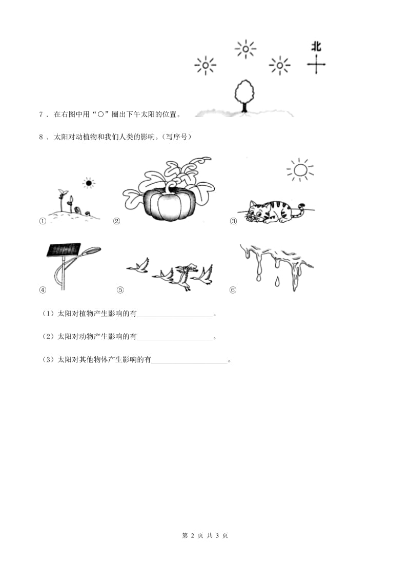 北京市科学2019-2020学年度二年级上册3.太阳的位置和方向（II）卷_第2页
