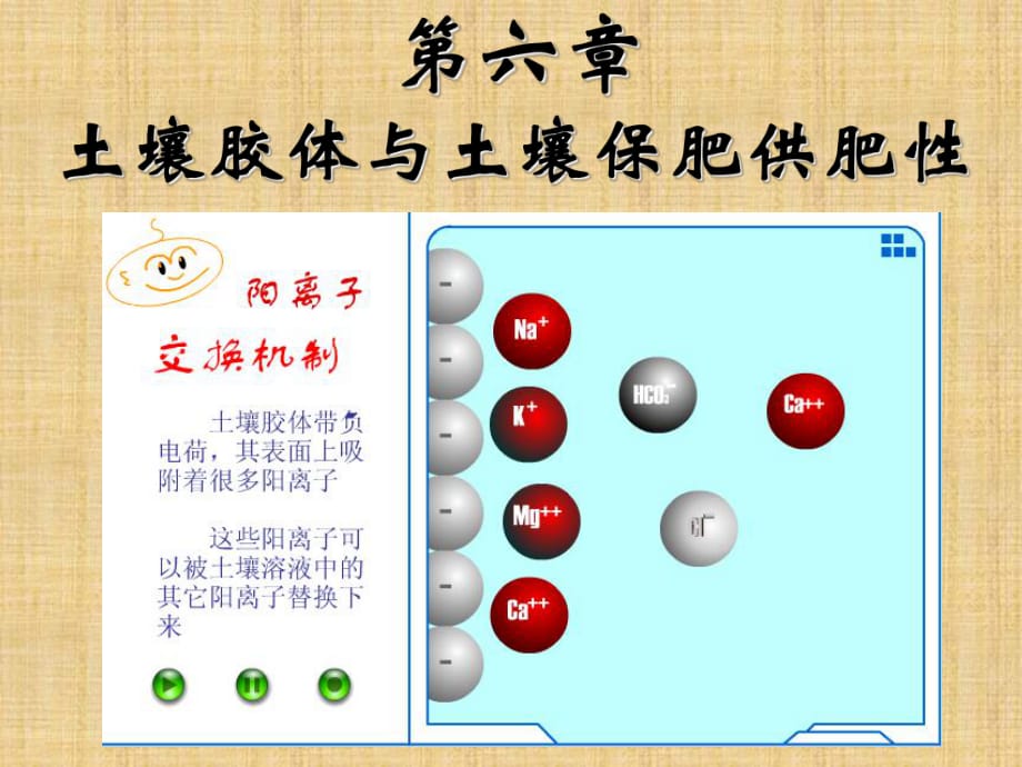 土壤膠體與土壤保肥供肥性一節(jié)-新_第1頁(yè)