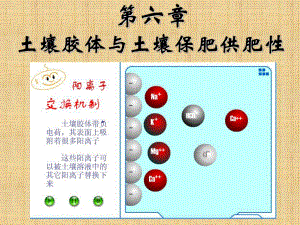 土壤膠體與土壤保肥供肥性一節(jié)-新