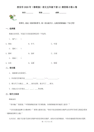 西安市2020年（春秋版）語文五年級下冊12 清貧練習卷A卷