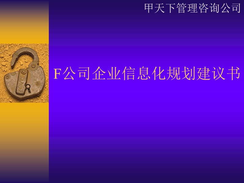 F公司企业信息化规划建议书_第1页