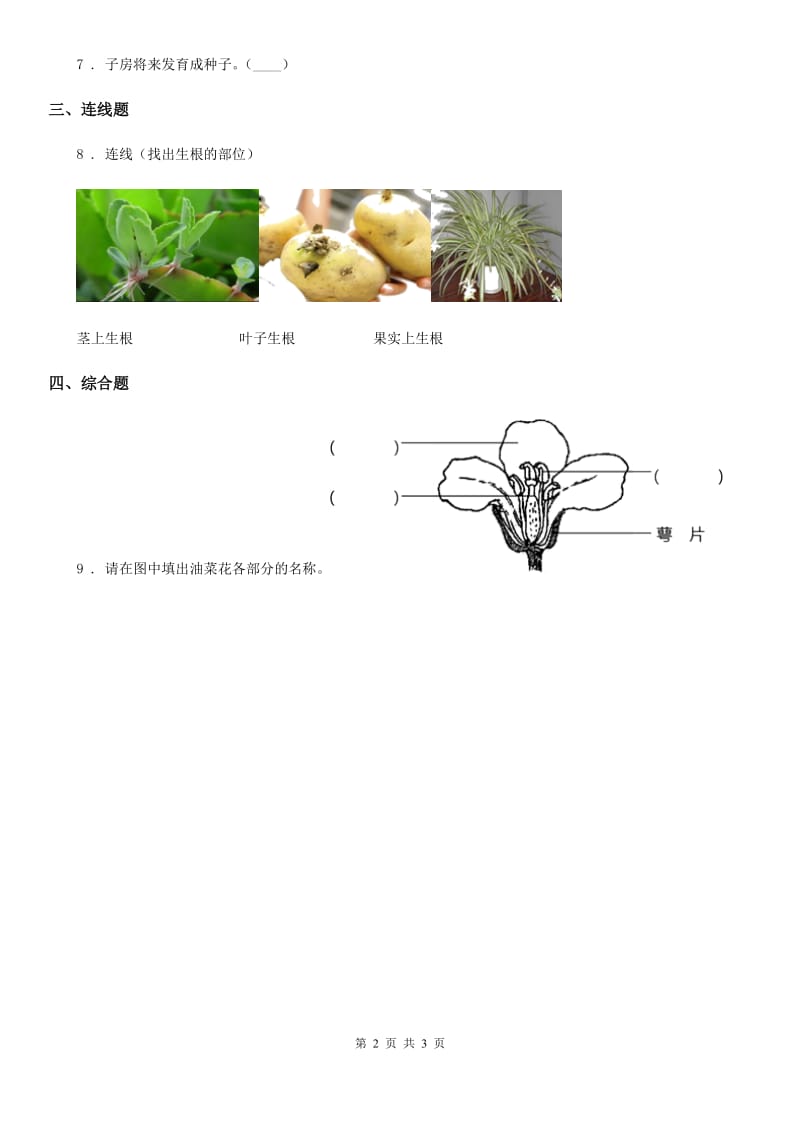 北京市科学一年级上册4.这是谁的叶_第2页