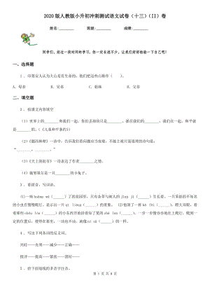 2020版人教版小升初沖刺測(cè)試語(yǔ)文試卷(十三)(II)卷