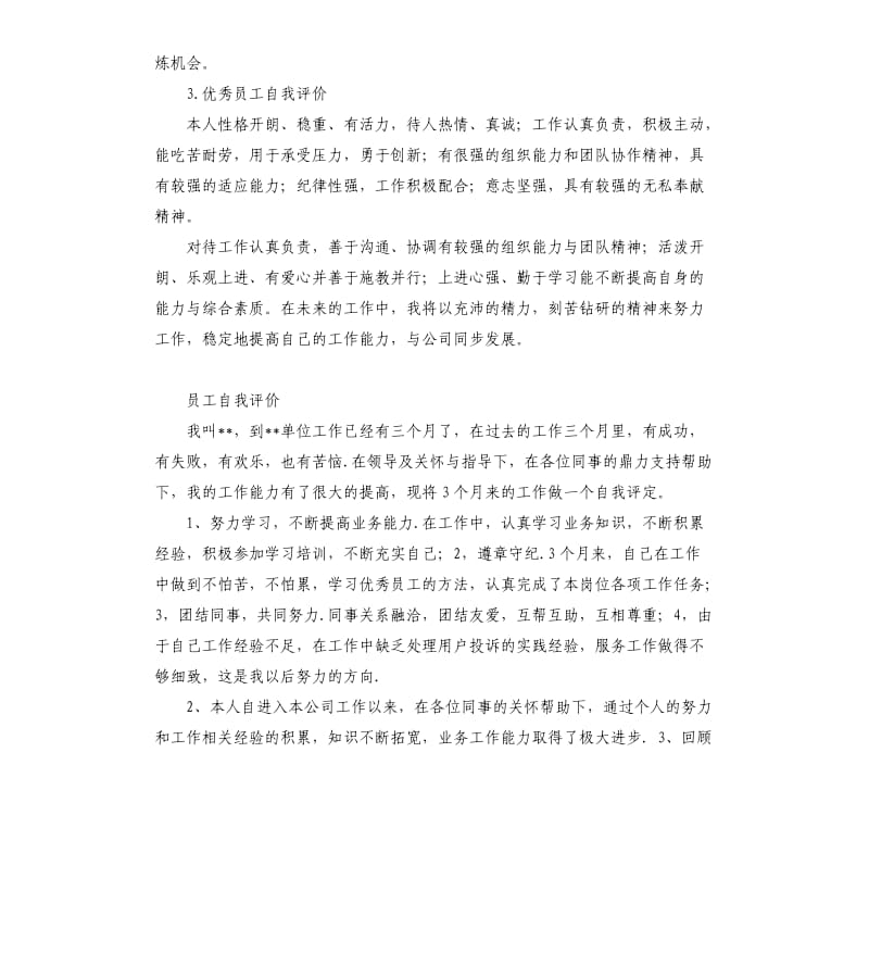 安防评员工自我评价 .docx_第3页