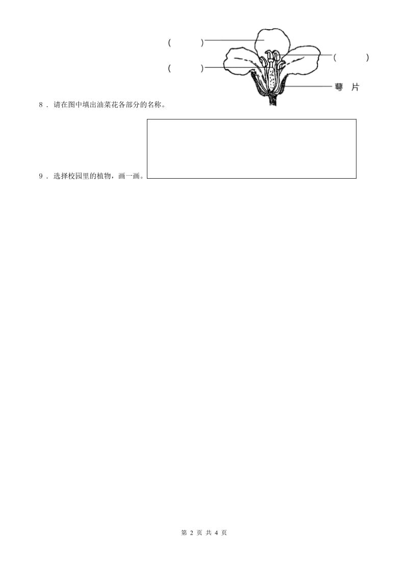 北京市科学2019-2020学年度一年级上册1.1 我们知道的植物练习卷C卷_第2页