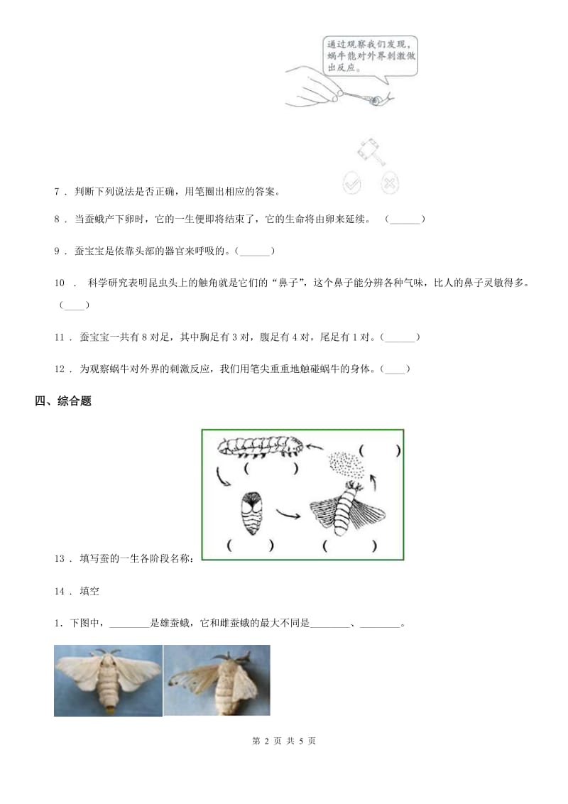 北京市科学2019-2020年三年级下册2.4 蚕变了新模样练习卷（II）卷_第2页