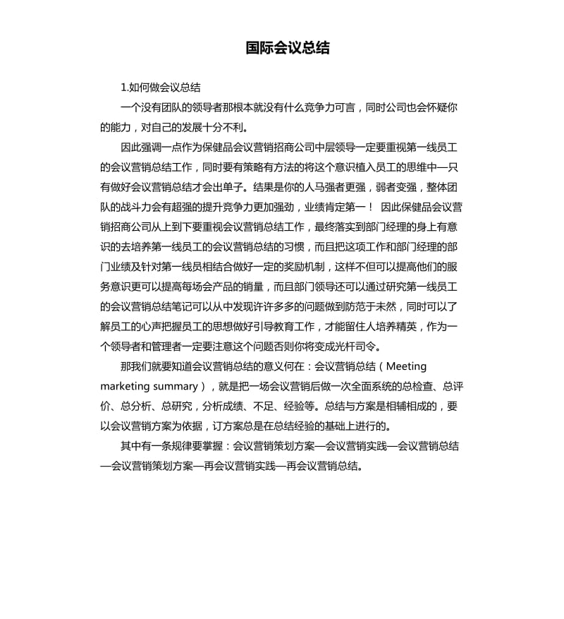 国际会议总结 .docx_第1页