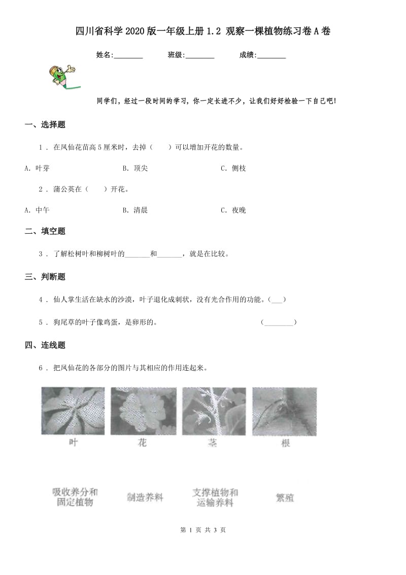 四川省科学2020版一年级上册1.2 观察一棵植物练习卷A卷_第1页