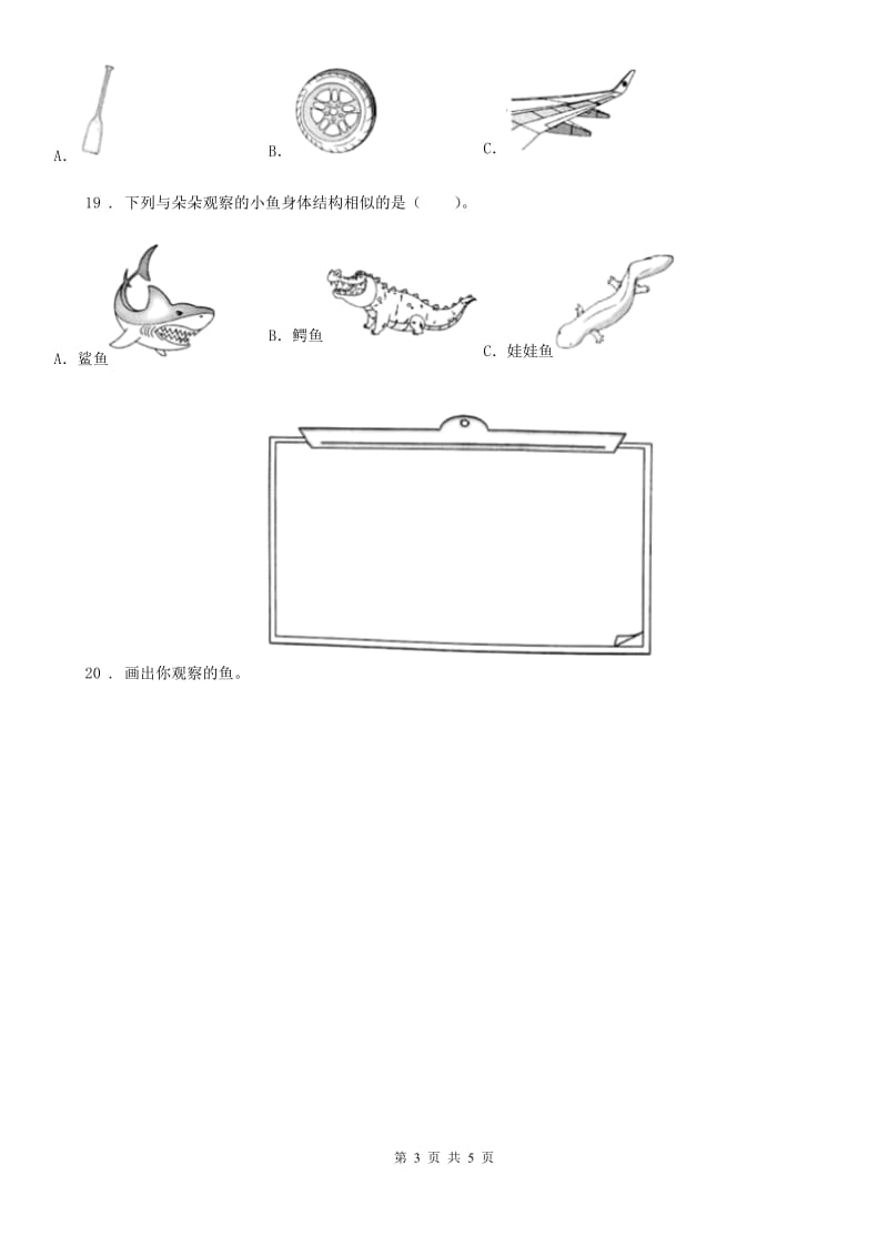 四川省科学2019-2020年二年级下册1.4 家里的兔子练习卷B卷_第3页