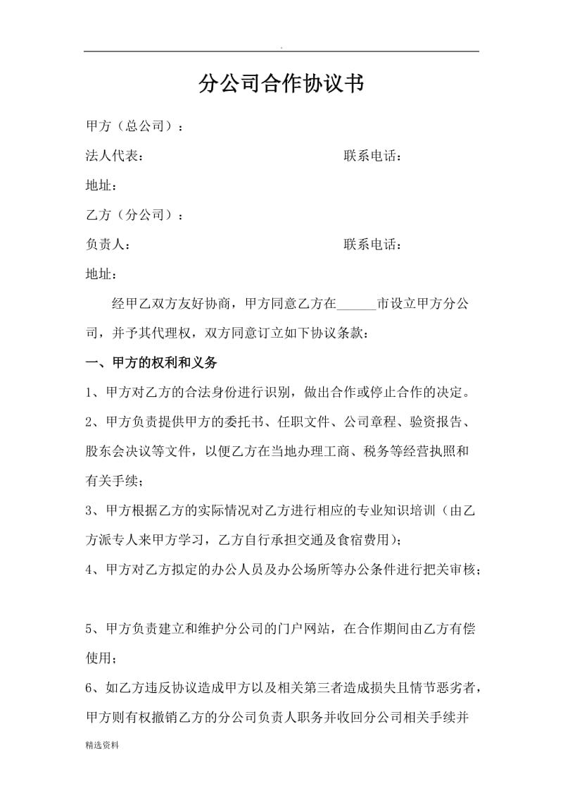 分公司合作协议书_第1页