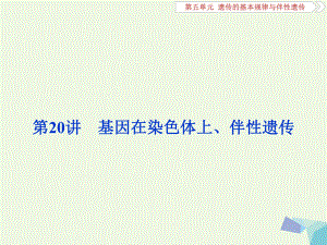 全國(guó)2018版高考生物大一輪復(fù)習(xí)第五單元遺傳的基本規(guī)律與伴性遺傳第20講基因在染色體上伴性遺傳課件