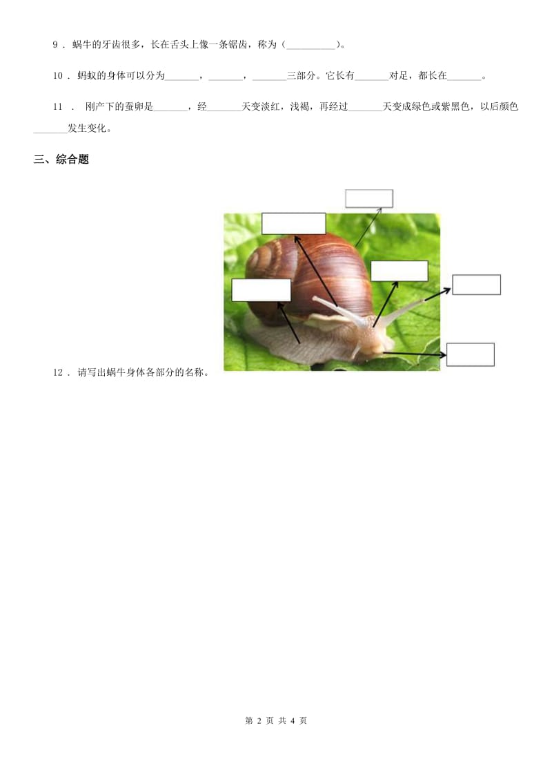 四川省科学2020版三年级上册2.6 金鱼练习卷（I）卷_第2页