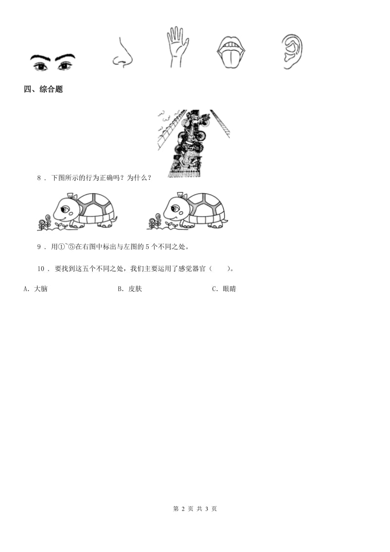 四川省科学二年级下册2.通过感官来发现_第2页