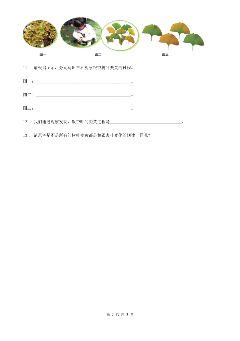 四川省科学2019-2020学年度一年级上册9 树叶变黄了练习卷（I）卷_第2页