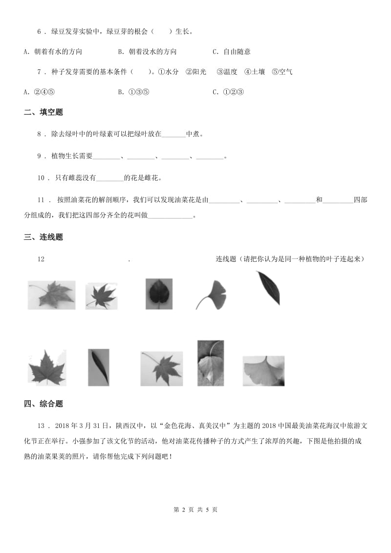 四川省科学四年级下册2.5 种子的萌发练习卷_第2页