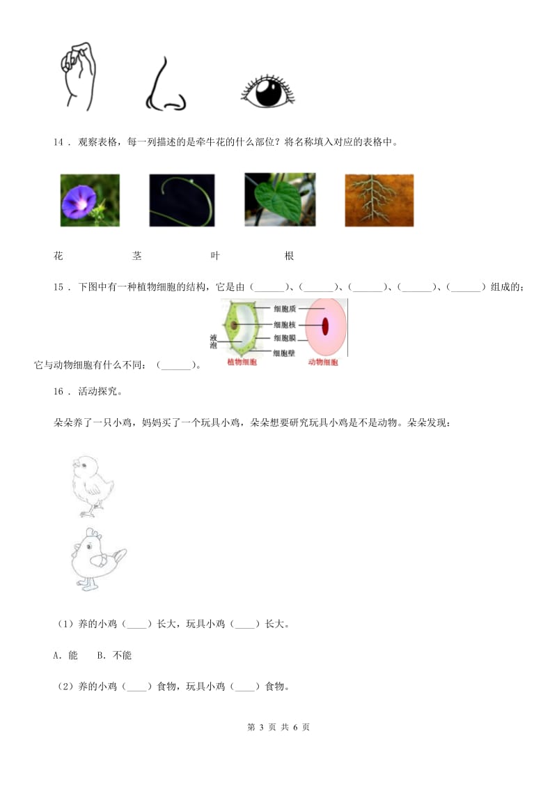 四川省科学六年级上册第1课时 校园生物大搜索_第3页