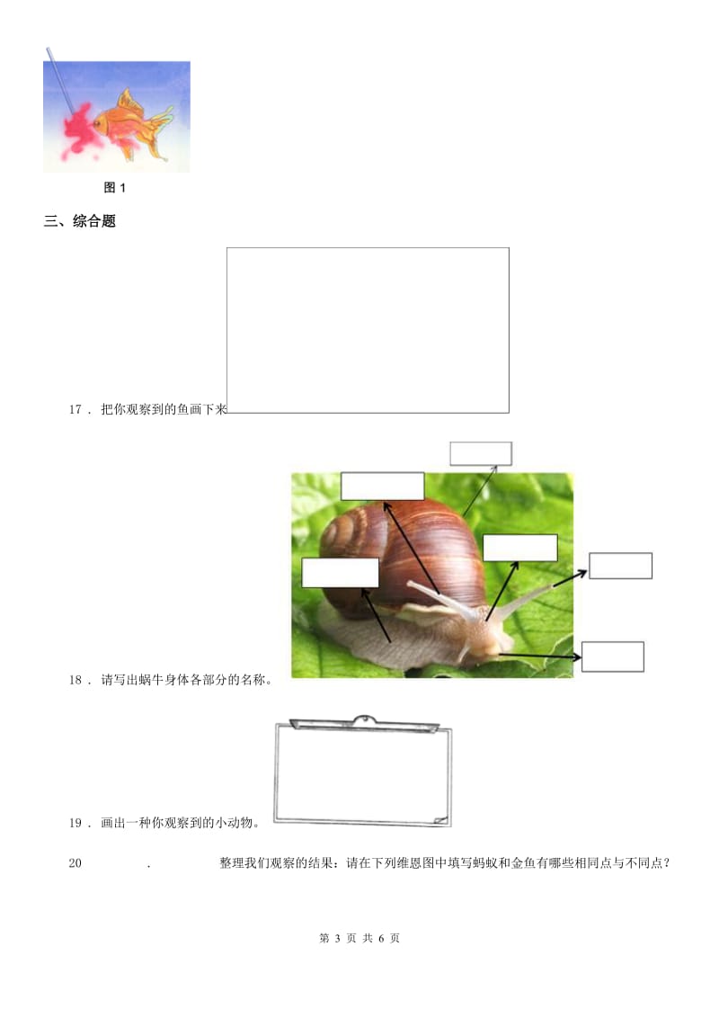 四川省科学2019-2020学年度四年级下册第二单元测试卷（II）卷_第3页