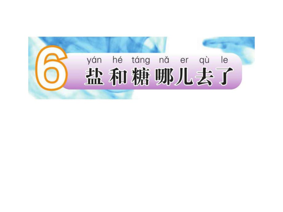 2018春蘇教版科學一年級下冊第6課《鹽和糖哪兒去了》pp_第1頁