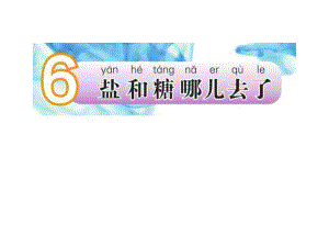 2018春蘇教版科學一年級下冊第6課《鹽和糖哪兒去了》pp