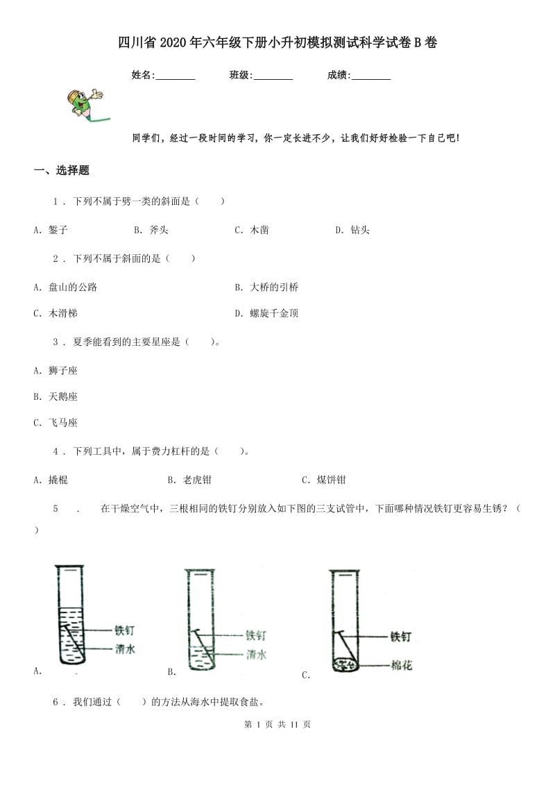 四川省2020年六年级下册小升初模拟测试科学试卷B卷_第1页