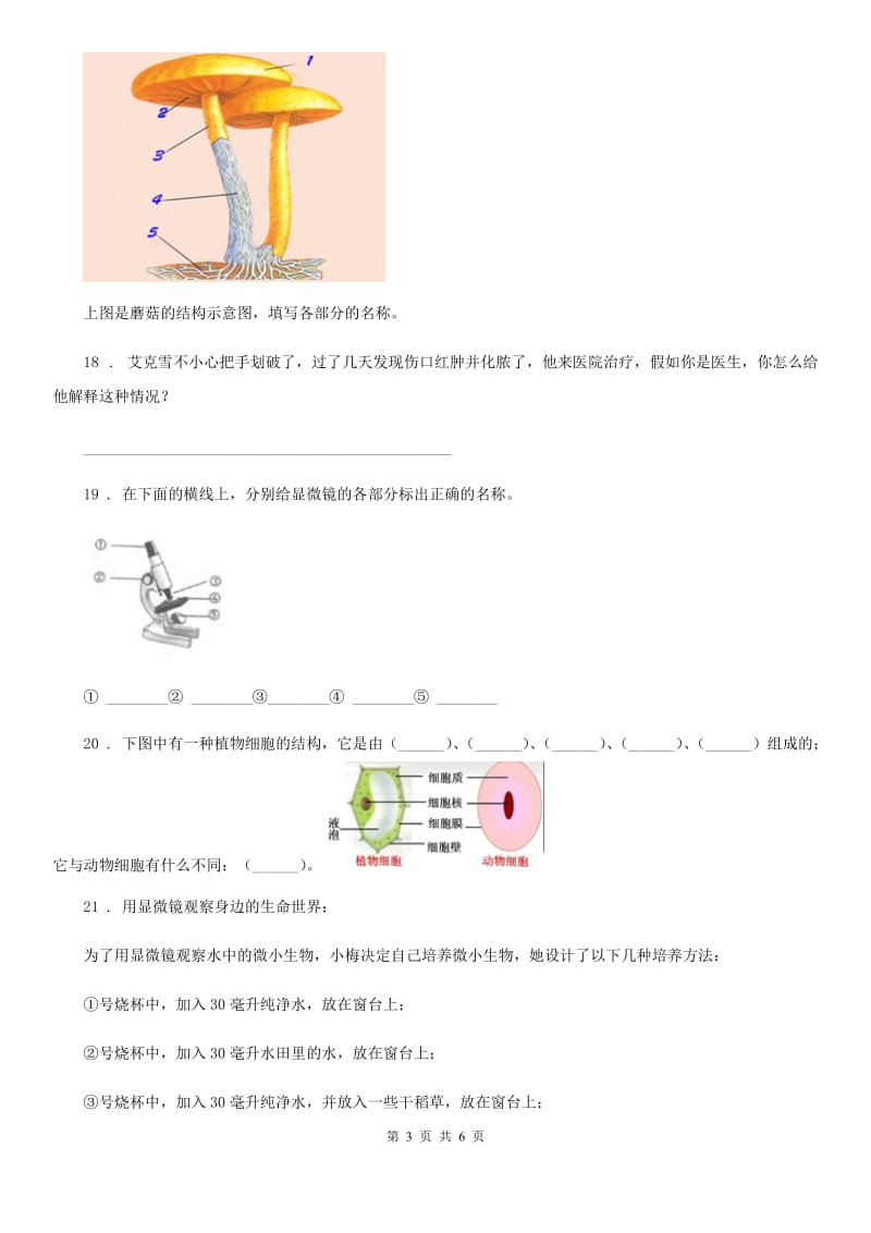 四川省科学2019-2020学年度六年级上册第一单元测试卷（I）卷_第3页