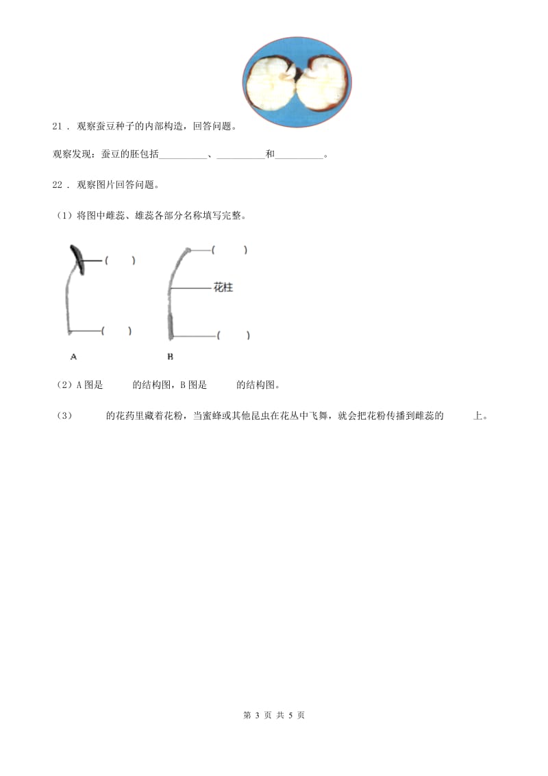 四川省科学2019-2020学年度四年级上册第三单元诊断自测题A卷_第3页