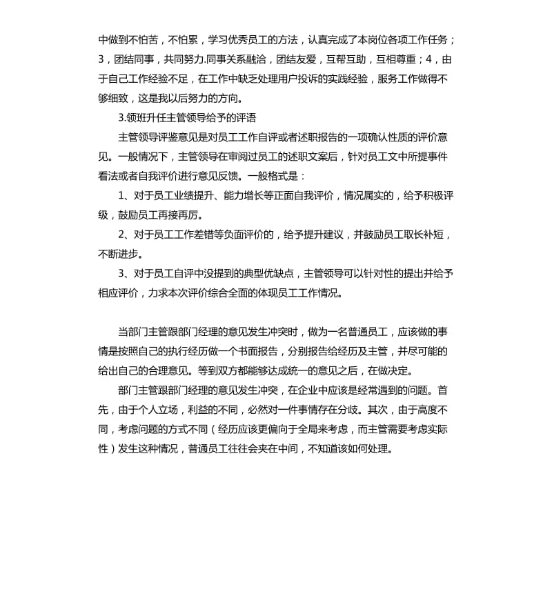 经理晋升总监的自我评价语 .docx_第3页