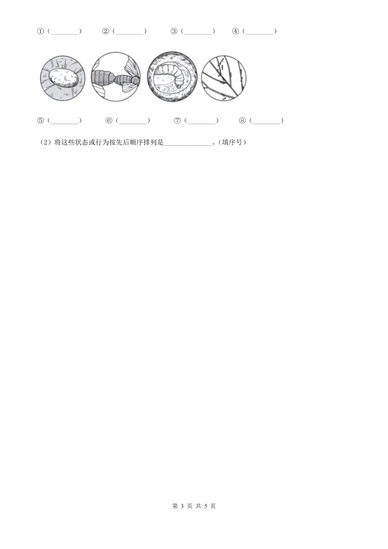 四川省科学2020届三年级下册2.6 蚕的一生练习卷C卷_第3页