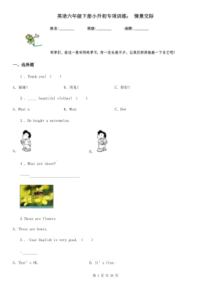 英語(yǔ)六年級(jí)下冊(cè)小升初專項(xiàng)訓(xùn)練： 情景交際