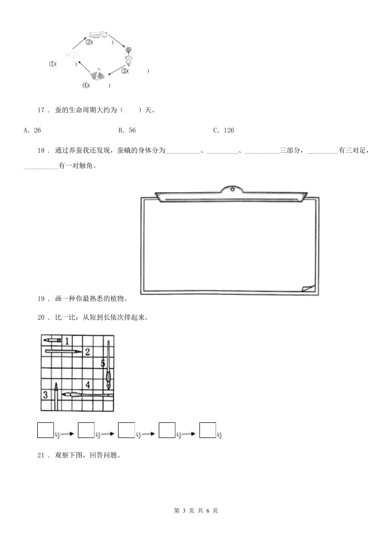 四川省2020版一年级上册期末测试科学试卷（I）卷_第3页