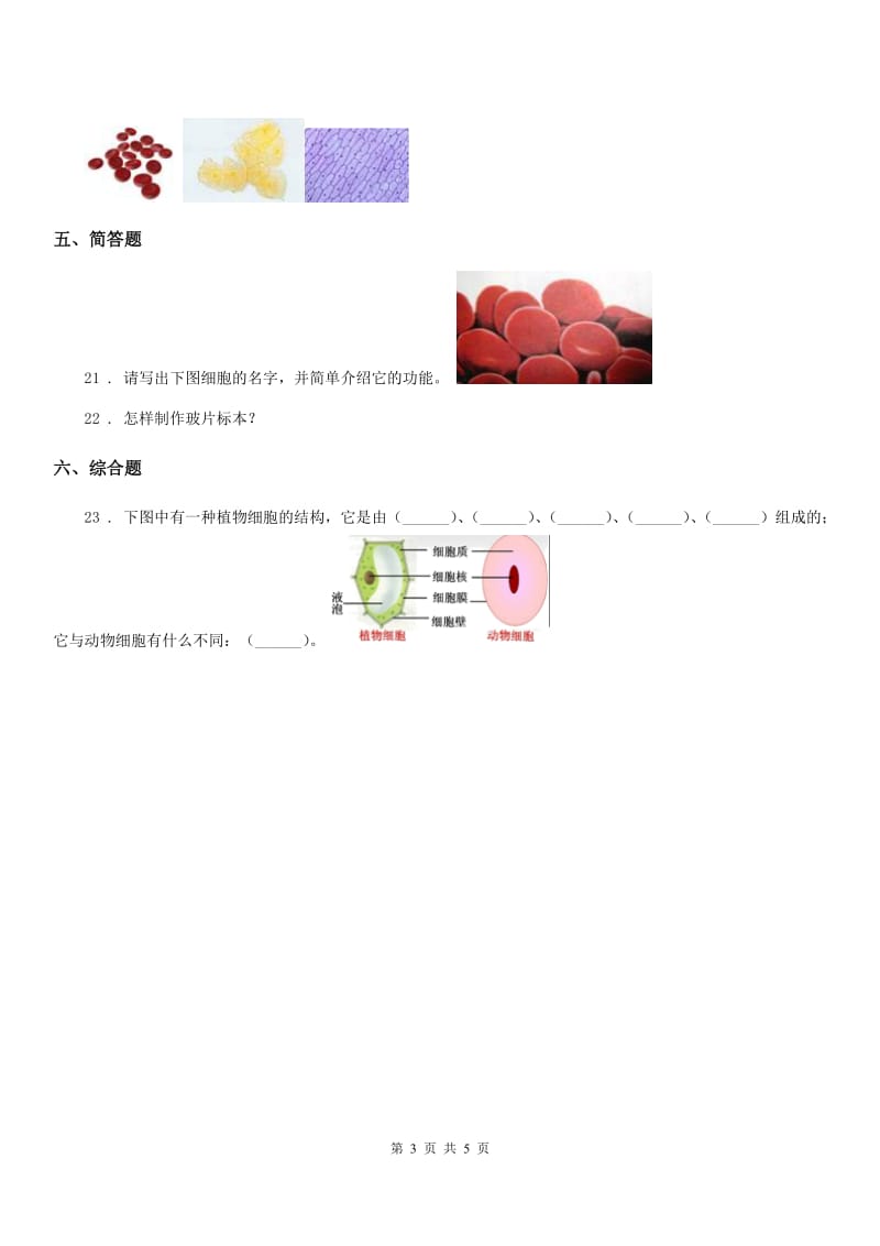 四川省科学2019-2020年六年级下册1.6 用显微镜观察身边的生命世界（二）练习卷（II）卷_第3页