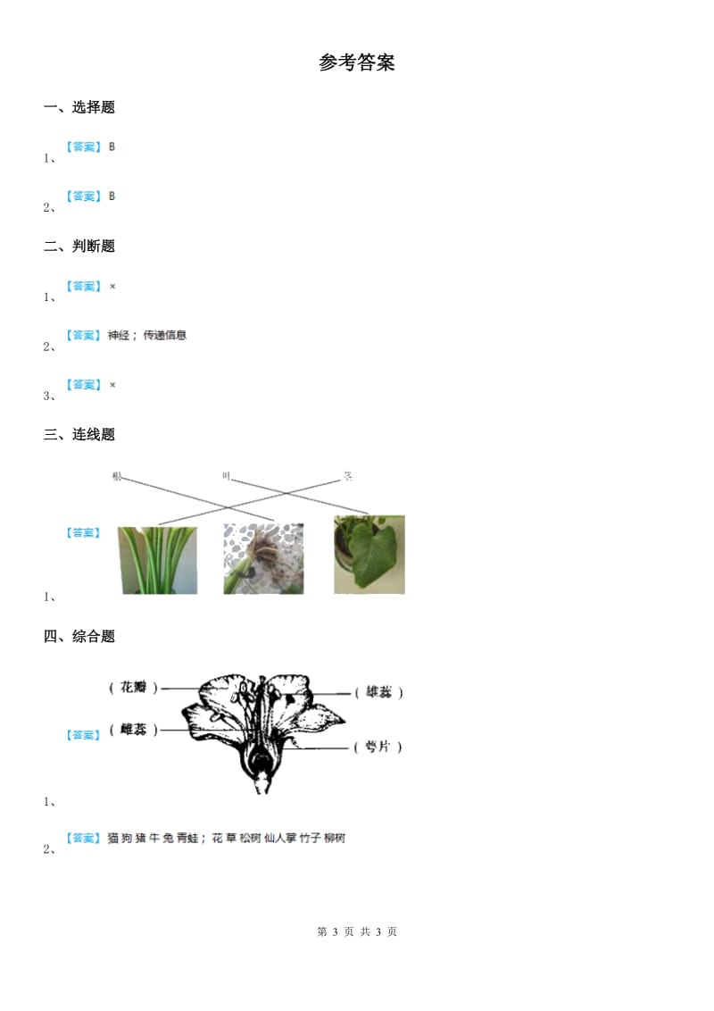 四川省科学2020年一年级上册6.校园里的植物C卷_第3页